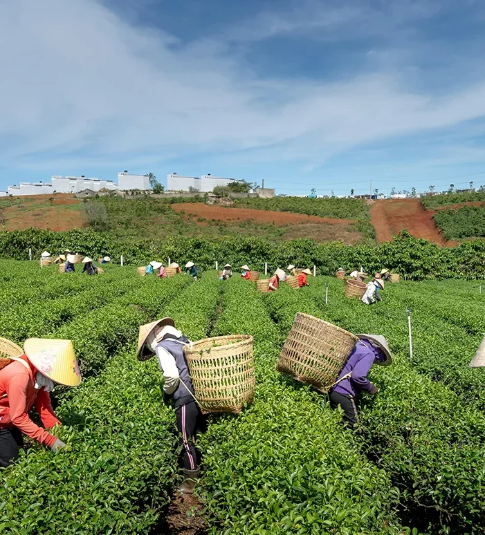 Organic farms avoid toxic inputs, improve soil health, grow clean, sustainable food that supports nature.